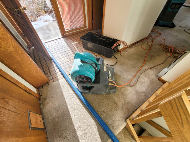 Best Water damage restoration insurance claims  in USA